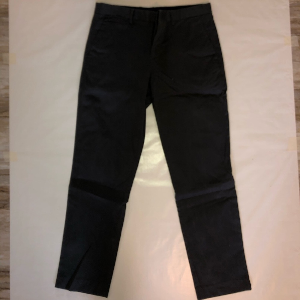 Express dress pants